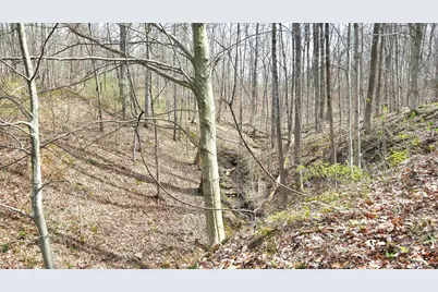 2641 Morganstern Lane, Beverly, OH 45715 - Photo 33