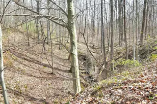 2641 Morganstern Ln, Beverly, OH 45715 - Photo 33