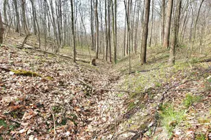 2641 Morganstern Ln, Beverly, OH 45715 - Photo 35