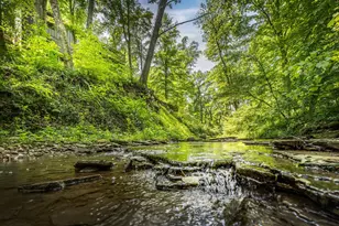 9757 Old Delaware Rd, Mount Vernon, OH 43050 - Photo 31