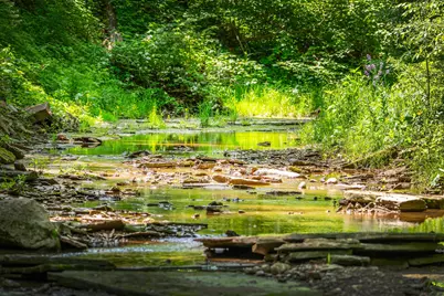 9757 Old Delaware Road, Mount Vernon, OH 43050 - Photo 39