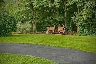 13895 OH-664, Logan, OH 43138 - Photo 79