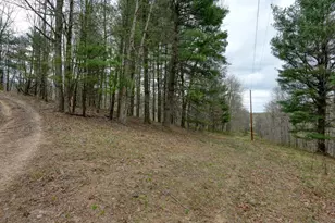 32917 Township Rd 381, Warsaw, OH 43844 - Photo 29