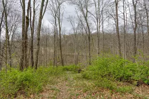 32917 Township Rd 381, Warsaw, OH 43844 - Photo 27