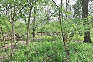 309 Melbourne Pl, Worthington, OH 43085 - Photo 55