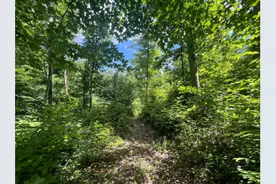 0 Waterworks Hill Road, Glouster, OH 45732 - Photo 3