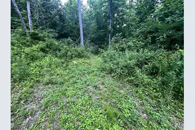 0 Waterworks Hill Road, Glouster, OH 45732 - Photo 9