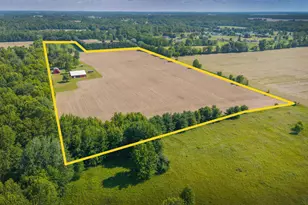 5323 Homer Rd NW, Centerburg, OH 43011 - Photo 23