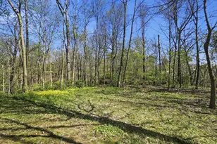 145 Winding Valley Drive, Delaware, OH 43015 - Photo 5