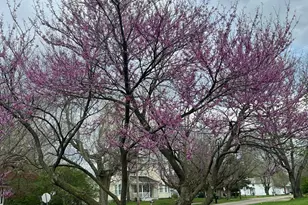 321 State St, Edison, OH 43320 - Photo 39