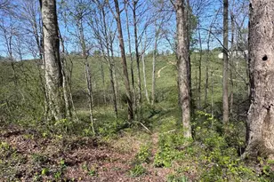 397 S Elliott Rd, Malta, OH 43758 - Photo 13
