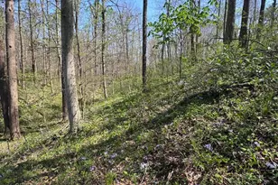 397 S Elliott Rd, Malta, OH 43758 - Photo 23