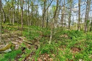 15331 Wooster Rd, Mount Vernon, OH 43050 - Photo 39