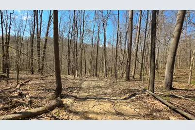0 Dennis Road #(Tract 4 at Muskingum Woods), Zanesville, OH 43701 - Photo 19