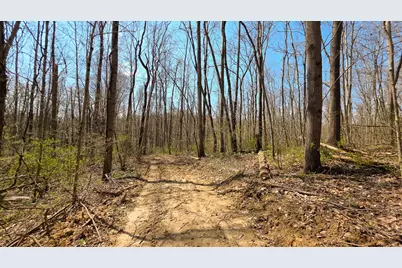 0 Dennis Road #(Tract 4 at Muskingum Woods), Zanesville, OH 43701 - Photo 3