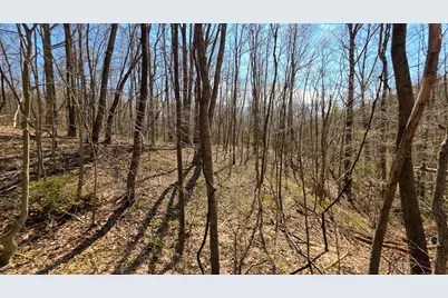 0 Dennis Road #(Tract 4 at Muskingum Woods), Zanesville, OH 43701 - Photo 23