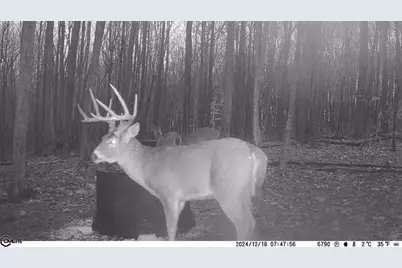 9407 Beavers Ridge Road, Piketon, OH 45661 - Photo 25