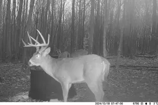 9407 Beavers Ridge Rd, Piketon, OH 45661 - Photo 25