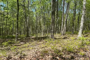 9407 Beavers Ridge Rd, Piketon, OH 45661 - Photo 23
