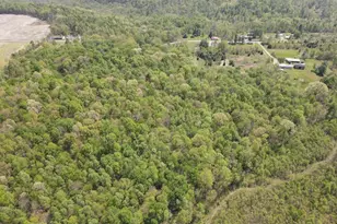 9407 Beavers Ridge Rd, Piketon, OH 45661 - Photo 11