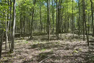 9407 Beavers Ridge Rd, Piketon, OH 45661 - Photo 15