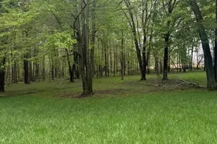 4135 Township Rd 21, Marengo, OH 43334 - Photo 15