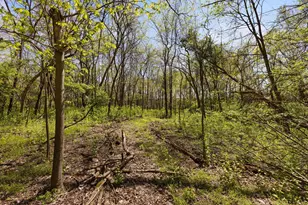 1078 State Route 257 S, Delaware, OH 43015 - Photo 59