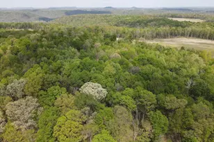 9407 Bever Ridge Rd, Piketon, OH 45661 - Photo 11