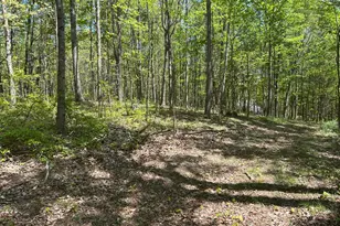 9407 Bever Ridge Rd, Piketon, OH 45661 - Photo 19