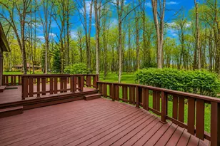 3915 Maxwell Rd, Lexington, OH 44904 - Photo 51