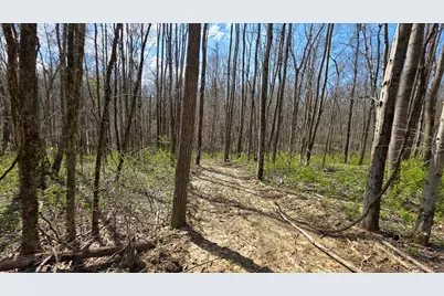 0 Dennis Road #(Tract 1 at Muskingum Woods), Zanesville, OH 43701 - Photo 9