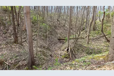 0 Dennis Road #(Tract 1 at Muskingum Woods), Zanesville, OH 43701 - Photo 11
