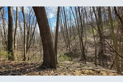 0 Dennis Road #(Tract 1 at Muskingum Woods), Zanesville, OH 43701 - Photo 3