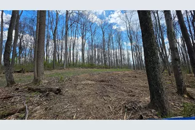 0 Dennis Road #(Tract 1 at Muskingum Woods), Zanesville, OH 43701 - Photo 13