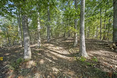 6607 State Route 140, Wheelersburg, OH 45694 - Photo 59