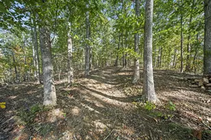 6607 State Route 140, Wheelersburg, OH 45694 - Photo 59