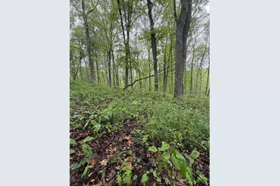 29500 Fairview Ridge Road, Logan, OH 43138 - Photo 45