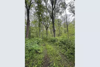 29500 Fairview Ridge Road, Logan, OH 43138 - Photo 37