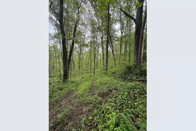 29500 Fairview Ridge Road, Logan, OH 43138 - Photo 47