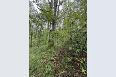 29500 Fairview Ridge Road, Logan, OH 43138 - Photo 41