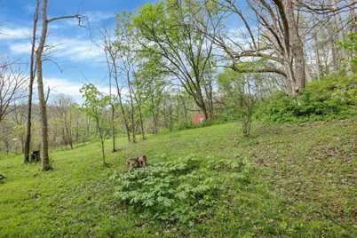 6879 Beard Price Road, Glouster, OH 45732 - Photo 37