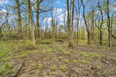 0 Lantz Road, Mansfield, OH 44906 - Photo 3