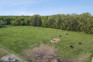14121 Perfect Rd, Sunbury, OH 43074 - Photo 121