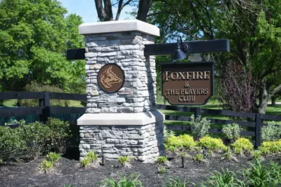 349 Oakmont Drive, Commercial Point, OH 43116 - Photo 13