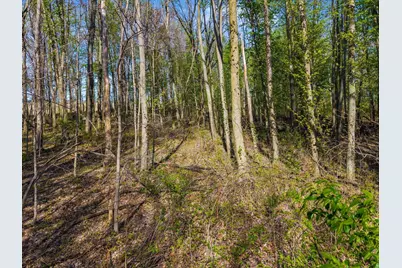 0 Fields Road, Richwood, OH 43344 - Photo 13