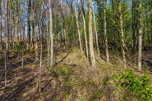0 Fields Rd, Richwood, OH 43344 - Photo 13