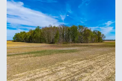 0 Fields Road, Richwood, OH 43344 - Photo 11