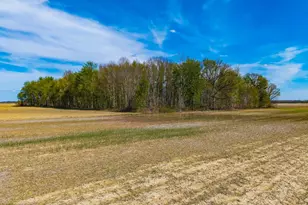 0 Fields Rd, Richwood, OH 43344 - Photo 11