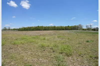 0 County Road 290 #Lot DD, Bellefontaine, OH 43311 - Photo 5