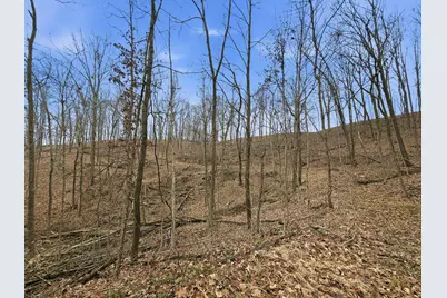 0 Rockville Road, Blue Rock, OH 43720 - Photo 19